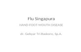 Flu Singapura