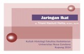 Histo Jar  Ikat_2t_Kupang.pdf