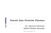 8. Darah Dan Protein Plasma Pp