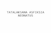 asfiksia neonatus