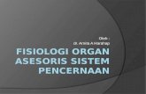 Fisiologi Organ Asesoris Sistem Pencernaan