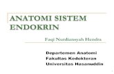 Anatomi Endokrin Dr Faqi