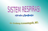 4. Sistem Respirasi Akper