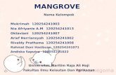 Eksplorasi Mangrove