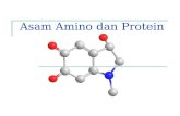 d. Materi Asam Amino Dan Protein