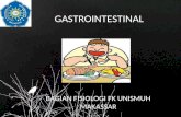Gastrointestinal Asistensi