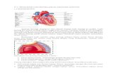Mandiri Cardio Sk1