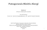 Patogenesis Riniti Alergi
