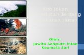 FOREST FIRE INTAN JUWI.pptx