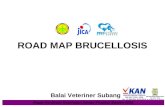 Road Map Brucellosis