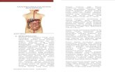 Anatomi Fisiologi Sistem Pencernaan