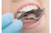 Esthetique Dentistry