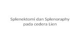Splenektomi Dan Splenoraphy Pada Cedera Lien