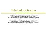 Metabolism e 11