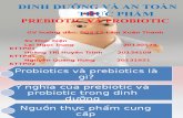 Probiotic Và Prebiotic