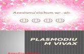 Plasmodium vivax ppt