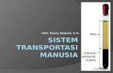 Sistem Transportasi pada Tubuh Manusia