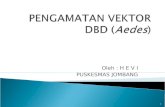 Pengamatan Vektor Dbd Banten 12 Mei 2011 Ok