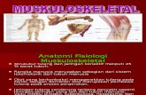 2. Review Sistem Muskuloskeletal