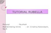 5. Tutorial Rubella1