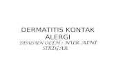 Dermatitis Kontak Alergi 03 Edit