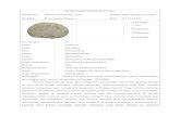 Deskripsi 2 Protozoa & Bryozoa