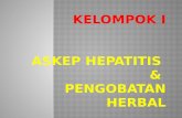 Hepatitis & Pengobatan Herbal