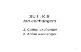 6 SU I K 6 Ion Exchanger