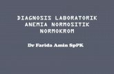 Anemia Normost Pp