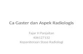 CA Gaster Dan Aspek Radiologis