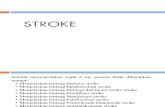 FP. Stroke (1)