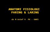 Anatomi - Fisiologi Faring Laring