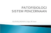 Patofisiologi Sistem Pencernaan