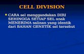 Cell Division Kuliah 2010