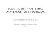 ISOLASI, IDENTIFIKASI dan UJI DAYA FAGOSITOSIS   MAKROFAG.pptx