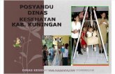 Program Posyandu Edit 2013