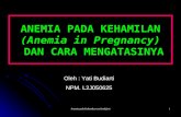 Anemia Pada Kehamilan Dan Cara Mengatasinya