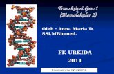 Transkripsi Gen KBK 123 2010
