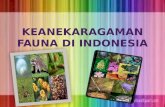 Fauna  di indonesia