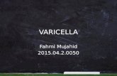 Responsi Varicella 20050
