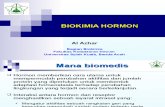 Hormon Metabolism