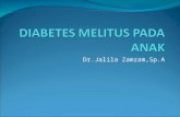 12.12 Dr.jalila Diabetes Melitus Pada Anak