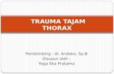 Trauma Thoraks Yoga