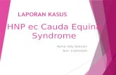 HNP Ec Cauda Equina Syndrom