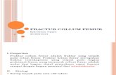 Fractur Collum Femur