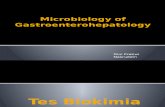 Mikrobiologi Gastro
