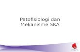 Dr. Setyasih - Patofisiologi & Manajemen SKA