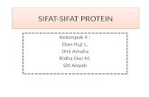 Sifat Sifat Protein