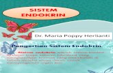 Sistem Endokrin - Dr. Maria Poppy Herlianti, B.Sc, M.Epid