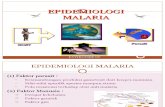 Epidemiologi Malaria Materi Kuliah